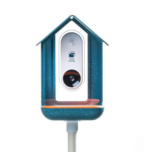 Bird Buddy Smart Bird Feeder | The Coolector