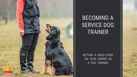 How To Become a Service Dog Trainer