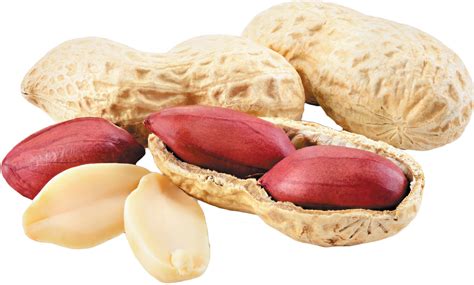 Legume of the month: Peanuts - Harvard Health