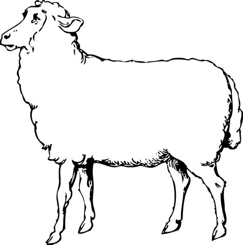 Download Sheep, Animal, Black And White. Royalty-Free Vector Graphic - Pixabay