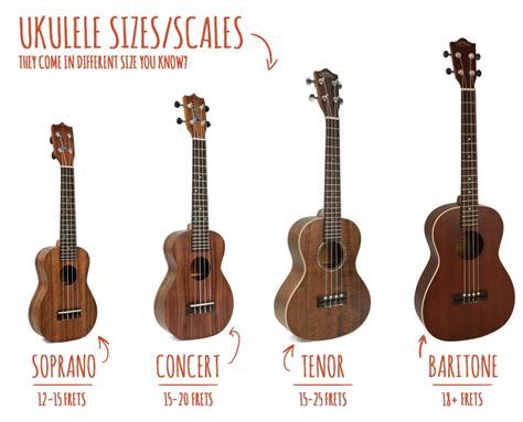 The Ukulele Sizes (with Comparison Chart) 2023 Guitar Lobby, 52% OFF