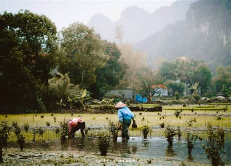 TAM COC, VIETNAM - The Natural Paradise of Vietnam