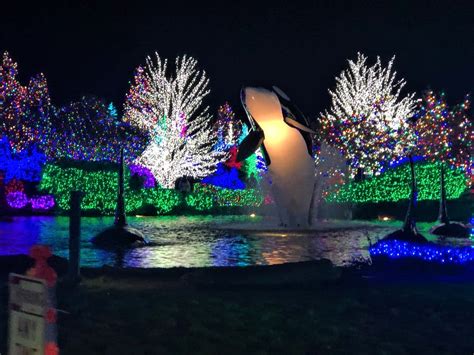 Tulalip Casino entrance drive has tons of Christmas lights | Roadtirement