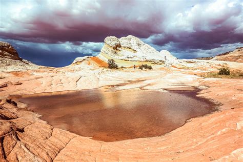 Vermilion Cliffs National Monument Guide: The Wave, White Pocket & More ...