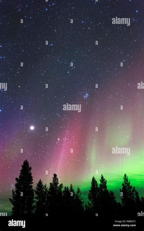 Aurora Borealis, planet Jupiter and The Pleiades above boreal forest Stock Photo - Alamy