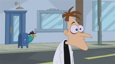 Perry the Platypus - Phineas and Ferb Wiki - Your Guide to Phineas and Ferb