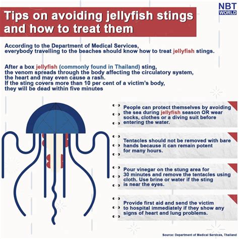 Impressive Info About How To Prevent Jellyfish Stings - Pricelunch34