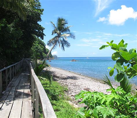 Champagne Beach | a virtual Dominica