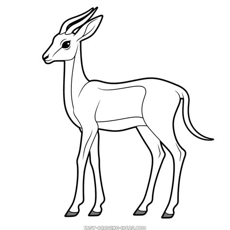 Gazelle easy drawing | Easy Drawing Ideas