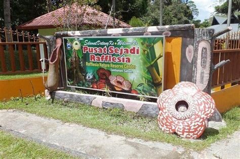 Tambunan Rafflesia Rainforest Reserve Tour from Kota Kinabalu