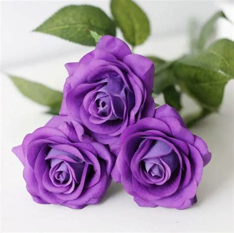 Online Get Cheap Real Purple Roses -Aliexpress.com | Alibaba Group