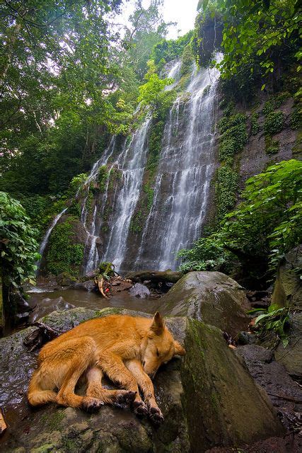 Siete Cascadas (Seven Waterfalls) hike, outside of Juayúa, El Salvador | El salvador travel ...