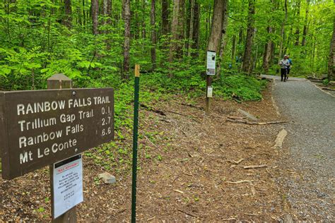 Hiking in Gatlinburg - A Guide To The Best 23 Trails In The Smokies