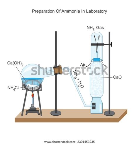 Preparation Ammonia Laboratory Ammonium Chloride Calcium Stock Vector (Royalty Free) 2301453235 ...