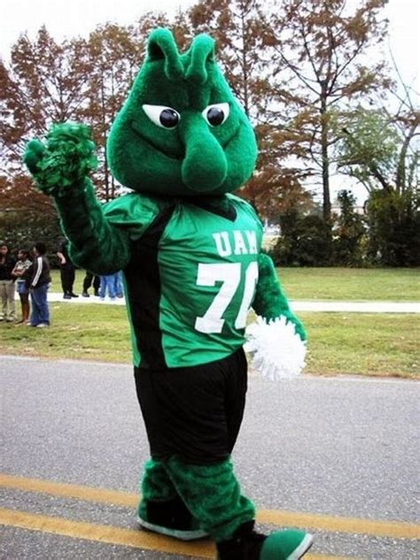 The Most Unusual College Mascots - Barnorama