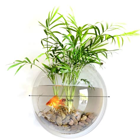 Fish bowl plants - lopezpersian