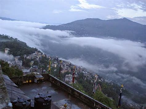 Sacred Groves: SACRED GROVES OF MEGHALAYA