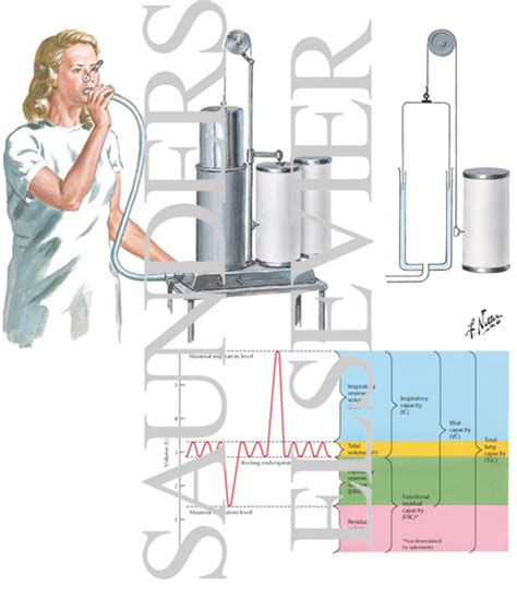 File:Lung Volumes And Capacities pl.svg - Wikimedia Commons