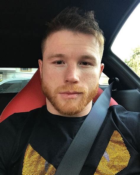 Canelo Alvarez https://familytron.com/canelo-alvarez/ | Canelo alvarez ...