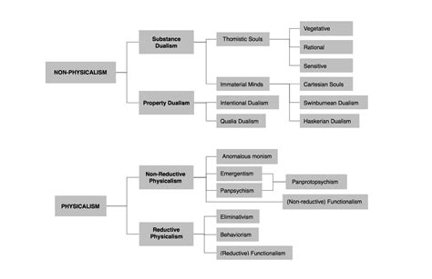 Metaphysics of Mind: A Flowchart Taxonomy | Nick Byrd, Philosopher-Scientist | Flow chart ...