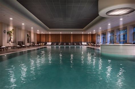 Amazing 50 metre Olympic sized swimming pool and well equipped spa ...