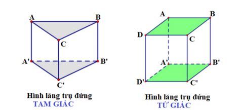 Hình lăng trụ là gì? Lăng trụ đứng là gì? Tính chất và bài tập