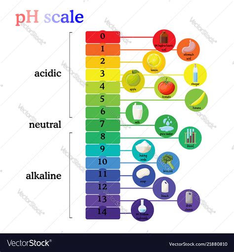 Diagram Of Ph Scale