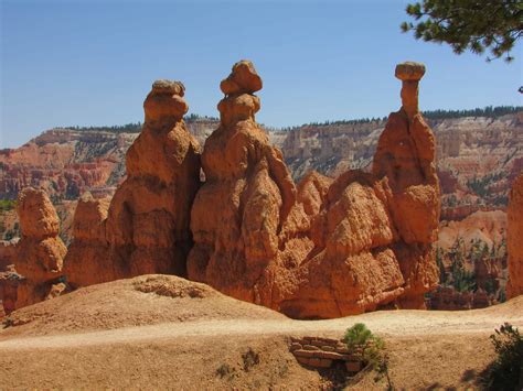 Hoodoos in Bryce Amphitheater - Walking The Parks