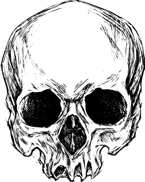 Jawless Skull, High Quality, Vector Art, T-shirt Design - Etsy | Skull ...