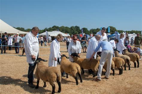 Tendring Show celebrates creativity in the countryside – Anglia Farmer Magazine