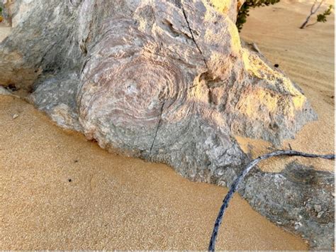 Formation of the Pinnacles, Western Australia - National Rock Garden