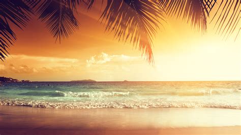 Tropical Island Sunset Beach With Palm Trees Wallpaper Hd | My XXX Hot Girl