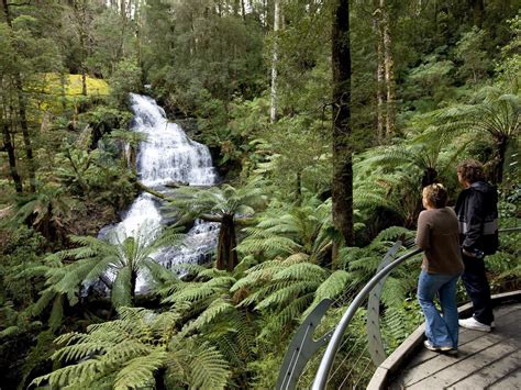 Great Otway National Park, Attraction, Great Ocean Road, Victoria ...