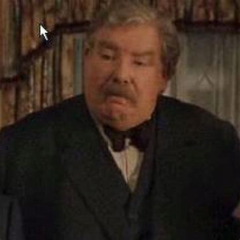 Vernon Dursley, played by Richard Griffiths. RIP | Harry potter characters, Harry potter, Harry ...