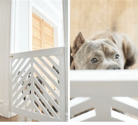 How To Make A Dog Gate [Featuring 30 DIY Dog Gate Ideas]