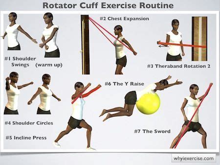 Pin on Rotator cuff exercises