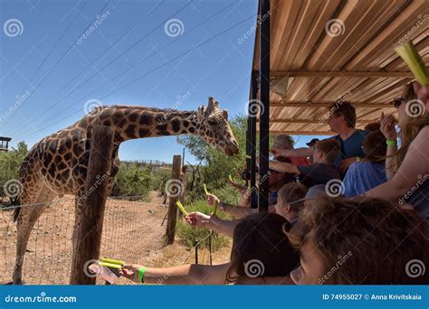 A Safari at Out of Africa Wildlife Park Editorial Photography - Image of entrance, green: 74955027