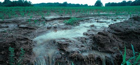 Agriculture- The Major contributor to Water Pollution?