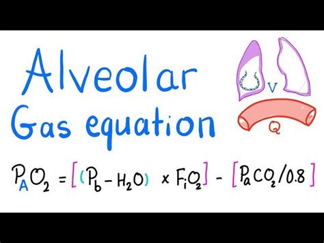 Free Video: Alveolar Gas Equation - Lung Physiology from Medicosis Perfectionalis | Class Central