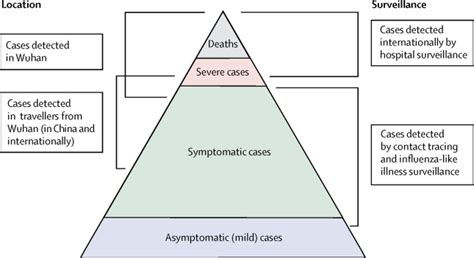 Estimates of the severity of coronavirus disease 2019: a model-based ...