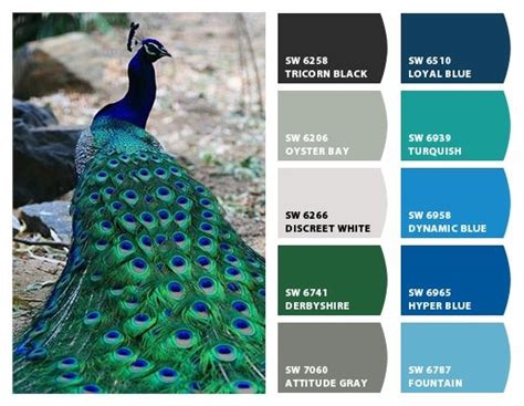 Peacock Color Scheme Inspiration