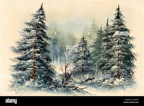 Tiny house in a winter night forest hand painting, winter pines ...