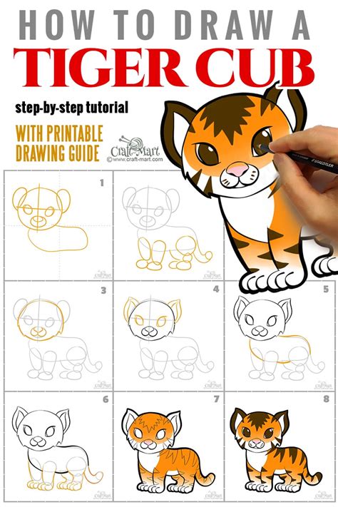 How To Draw A Baby Tiger Step By Step For Kids