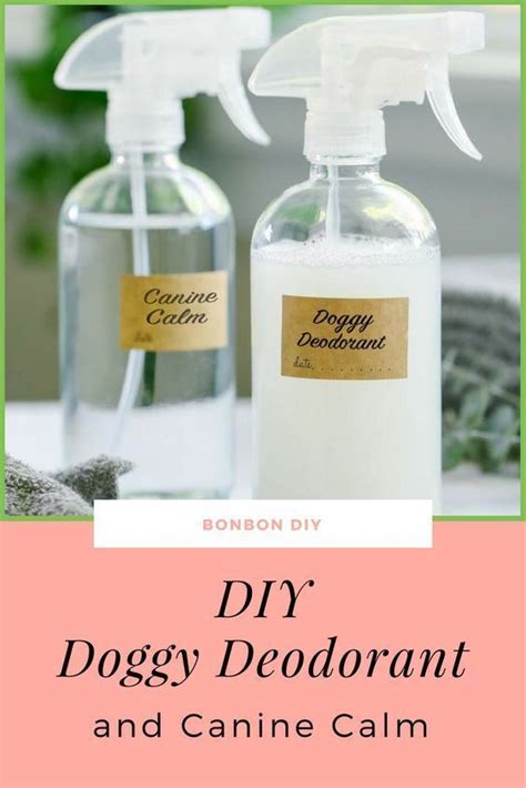 diy dog odor spray deodorant canine calm #DogAccessories | Dog odor spray, Dog spray, Diy dog stuff