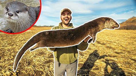 I TRAPPED a GIANT OTTER at My FARM!!! (Rare Catch) - YouTube