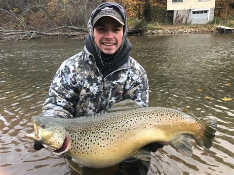 Orleans County, NY – STREAM fishing report – November 27, 2018 | Share ...