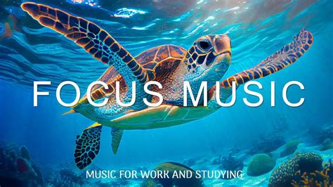 Focus Music For Work And Studying / Background Music For Concentration, Study Music, Thinking ...