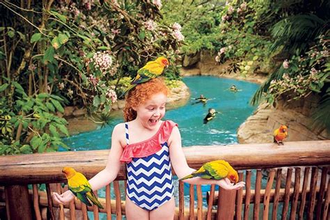 Discovery Cove Orlando Tickets - Orlando, FL