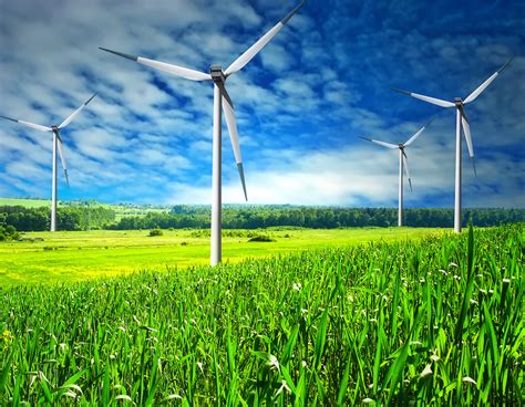 6 Types of Renewable Energy Sources for Businesses