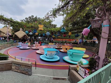 Mad Tea Party Overview | Disneyland Attractions - DVC Shop